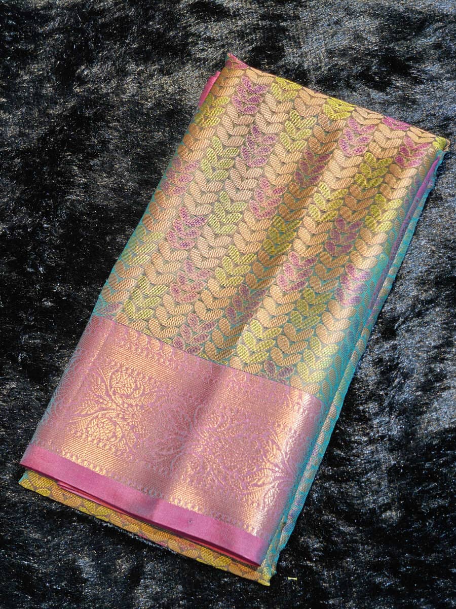 Pashmina Tanchio saree